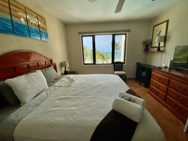 Beach Front Villa (1br)